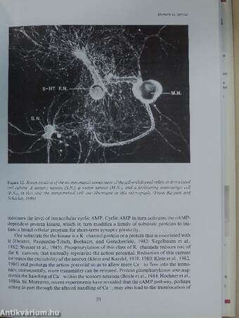 Fidia Research Foundation Neuroscience Award Lectures 1986