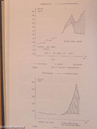 Gyermekgyógyászat 1979-1980. február-november