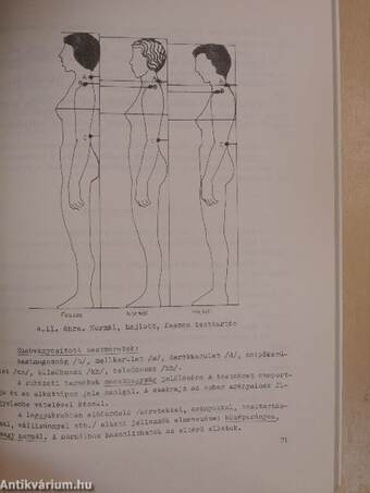 Ruhakészítő szakrajz