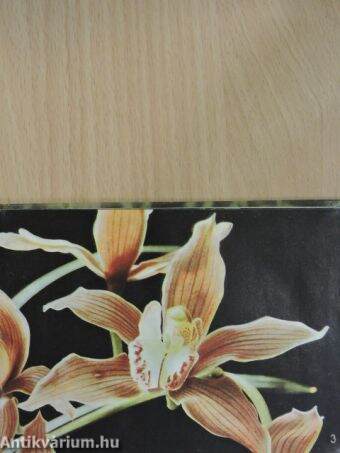 Orchideen