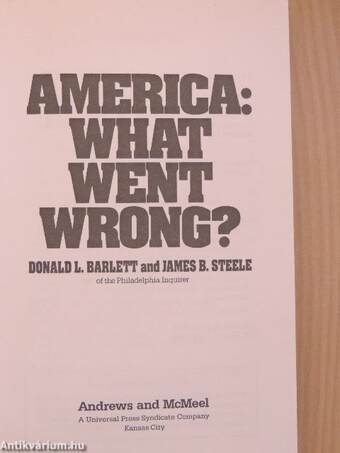 America: What went wrong?