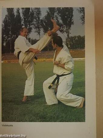 Kyokushin karate