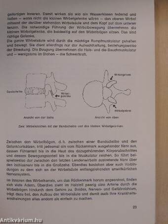 Ratgeber für Rheumakranke