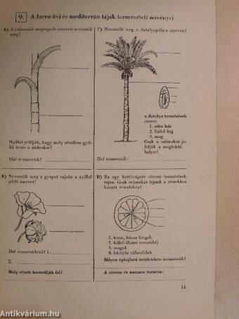 Élővilág munkafüzet 7.