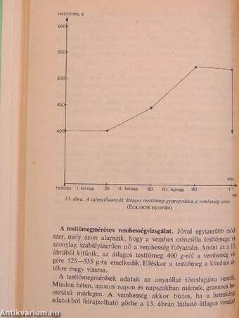 A csincsilla tenyésztése