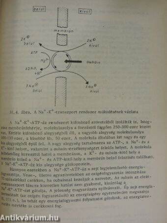 Biokémia II.