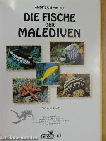 Die Fische der Malediven