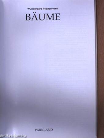 Bäume