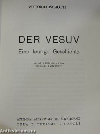 Der Vesuv