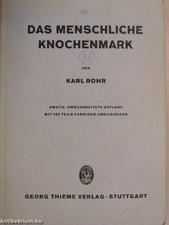 Das menschliche Knochenmark