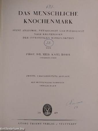 Das menschliche Knochenmark