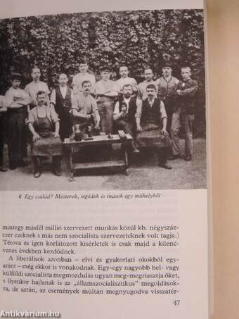 A szociáldemokrácia és a magyar társadalom 1914-ig