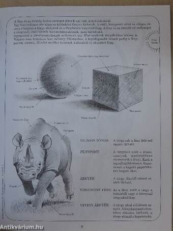 Árnyékolás ceruzával - Állatok I.