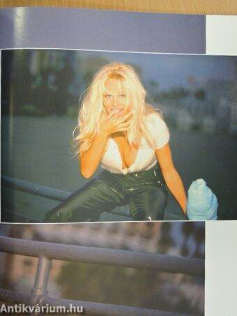 Pamela Anderson