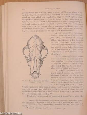 Természettudományi Közlöny 1898. január-december/Pótfüzetek a Természettudományi Közlönyhöz 1898. január-december