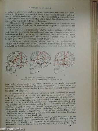 Sebészklinikai előadások I.