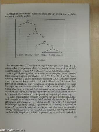 A kognitív szemlélet és a nyelv kutatása