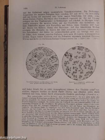 Die Experimentelle Bakteriologie und die Infektionskrankheiten mit besonderer Berücksichtigung der Immunitätslehre II.