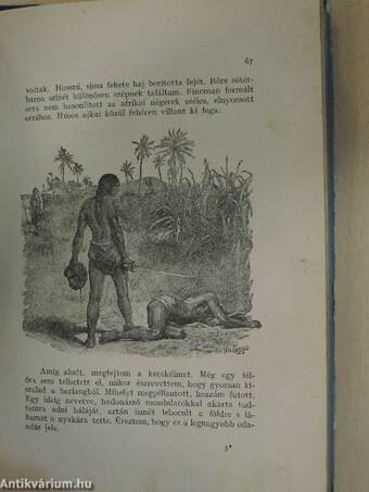 Robinson Crusoe élete és viszontagságai