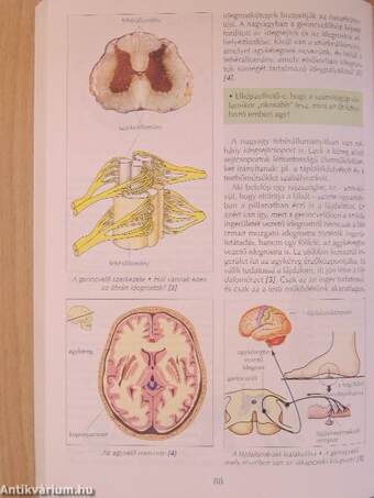 Biológia 8.