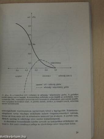 A sportedzés, versenyzés új útjai