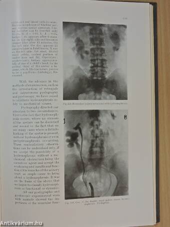 Surgical-Urology I. (töredék)