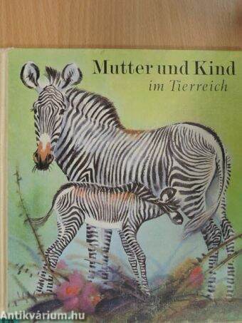 Mutter und Kind im Tierreich