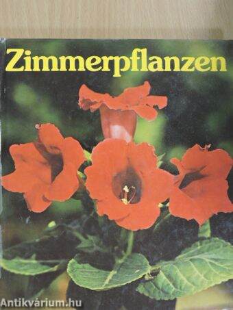 Zimmerpflanzen