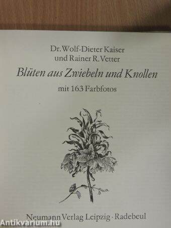 Blüten aus Zwiebeln und Knollen