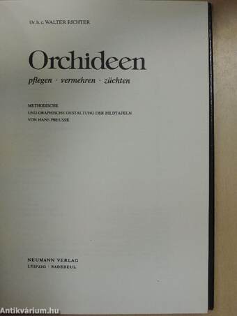 Orchideen