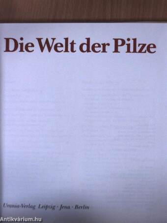 Die Welt der Pilze