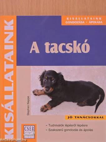 A tacskó