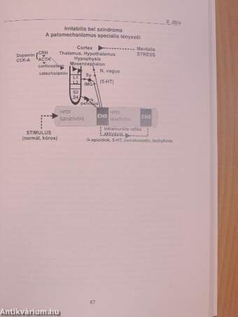 Funkcionális gastroenterológiai kórképek