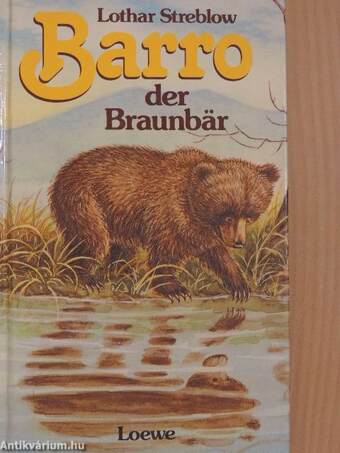 Barro, der Braunbär