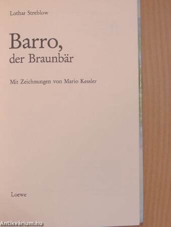 Barro, der Braunbär