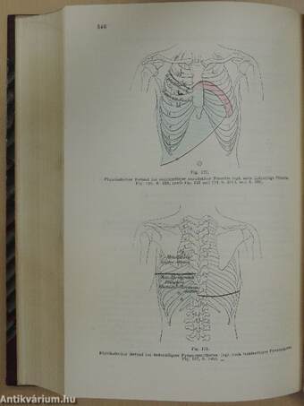 Lehrbuch der klinischen Untersuchungs-Methoden für Studierende und praktische ärzte I.