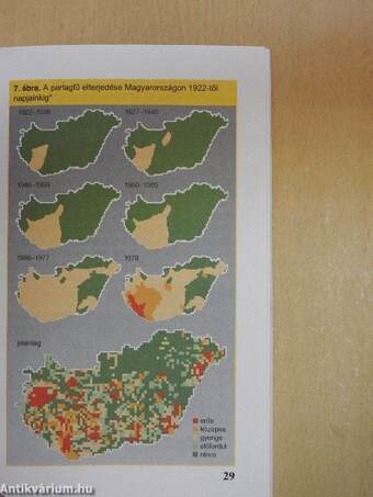 Allergia - környezetünk csapdája