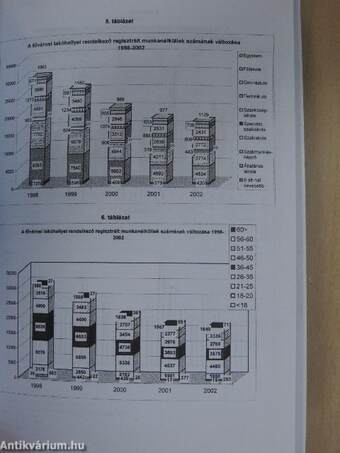 Monitoring jelentés a főváros 2002. évi foglalkoztatáspolitikai helyzetéről