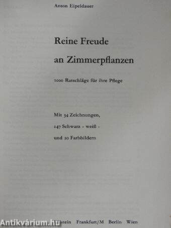 Reine Freude an Zimmerpflanzen