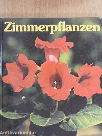 Zimmerpflanzen