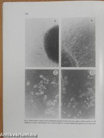 Neuroscience Research February 1987