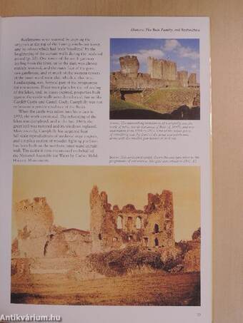 Caerphilly Castle