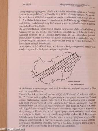 Zöld kalandra fel! II.