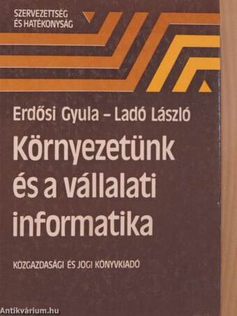 Környezetünk és a vállalati informatika