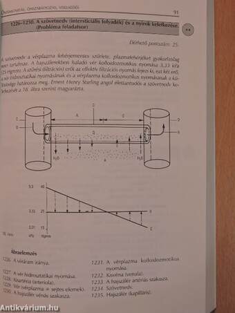 Biológiai feladatgyűjtemény középiskolásoknak