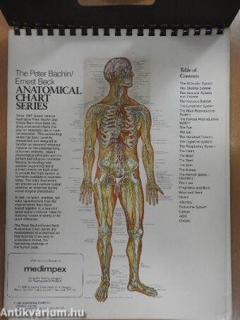 The Anatomical Chart Series