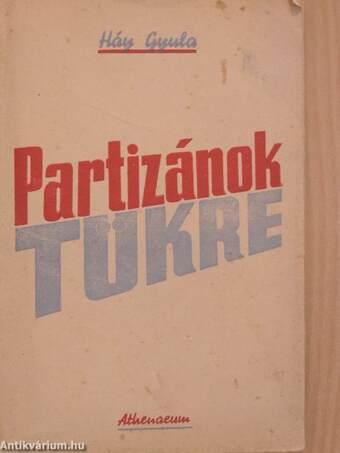 Partizánok tükre