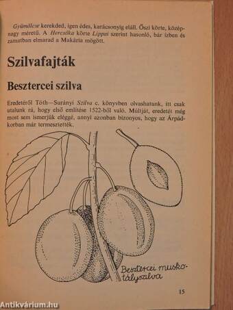 Régi magyar ellenálló gyümölcsfajták