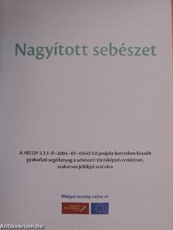 Nagyított sebészet