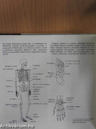 Az ortopédia tankönyve